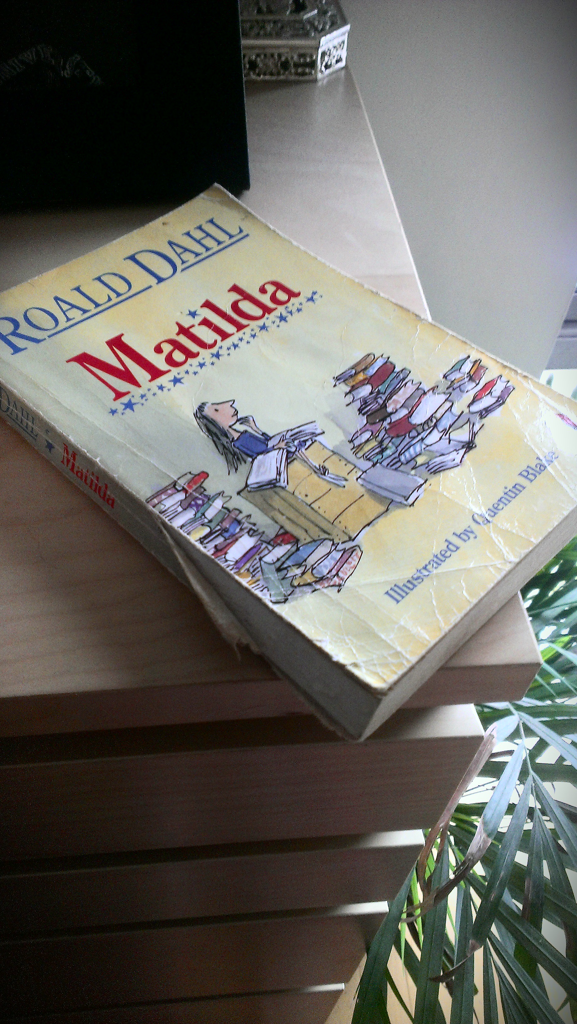 Photo of Matilda book