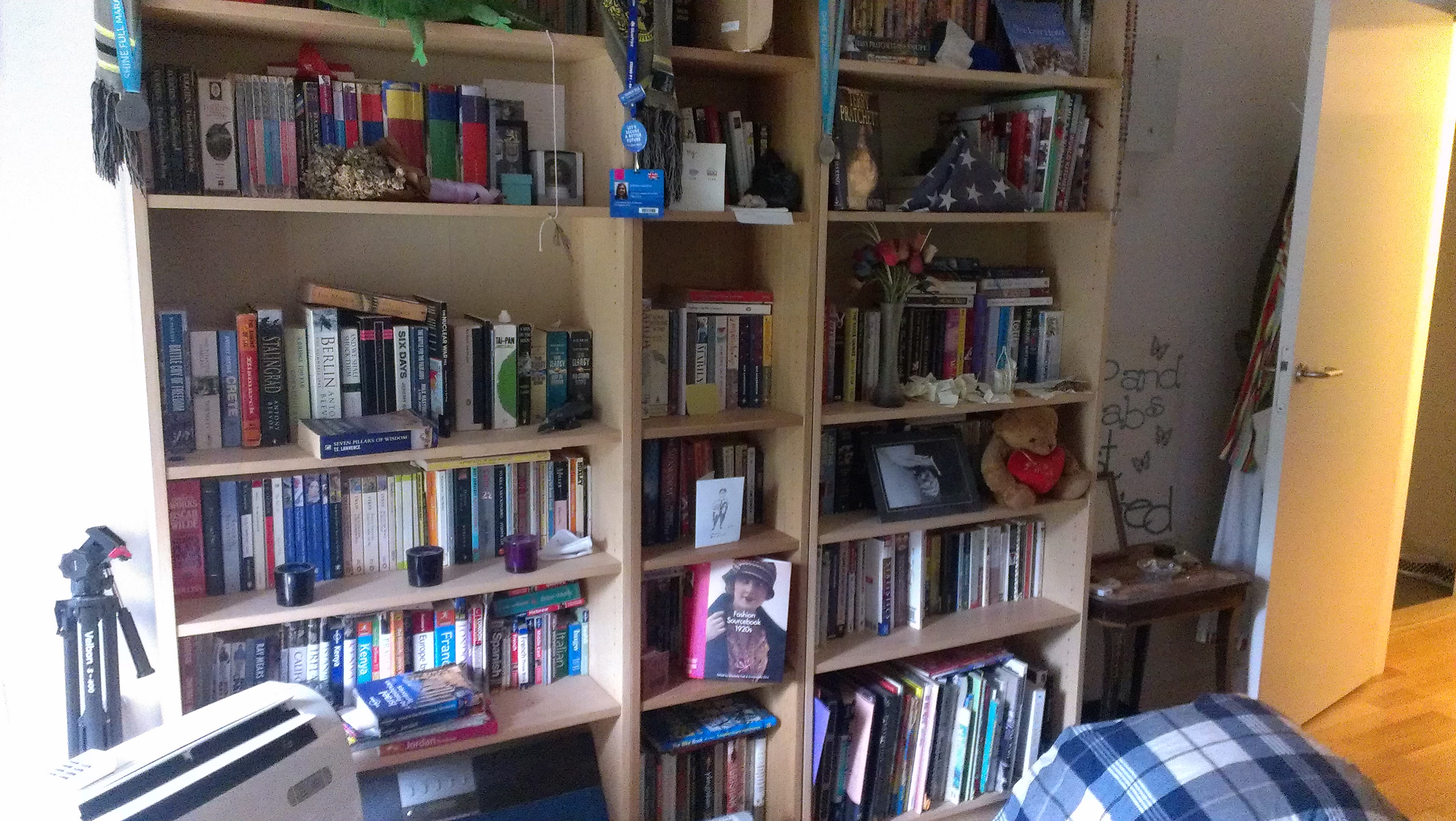 Sophia Carleton bookshelves